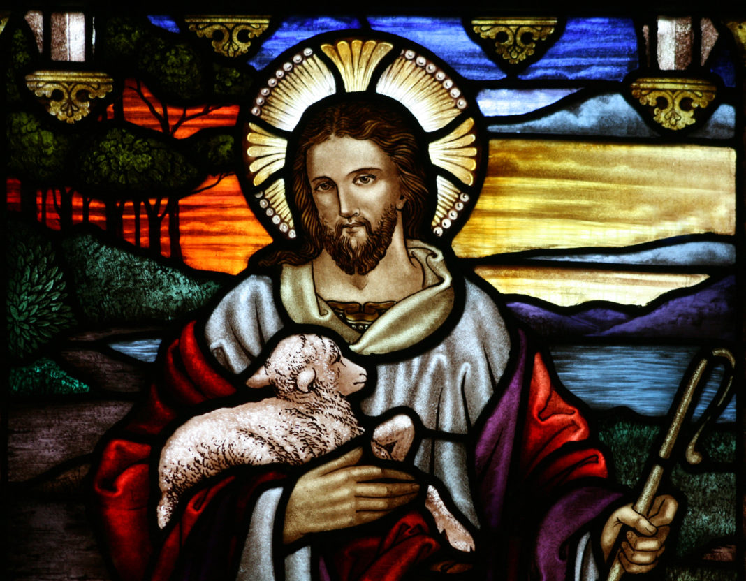 Feast of the Good Shepherd The Catholic Sun